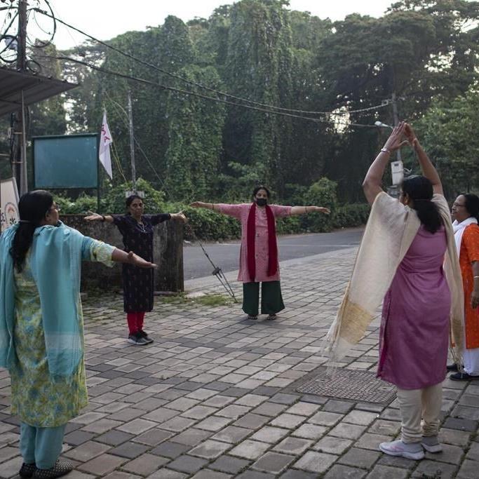 In India, mangrove trees make way for booming city of Kochi